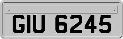 GIU6245