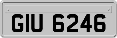 GIU6246