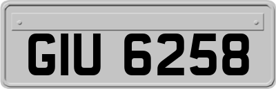 GIU6258
