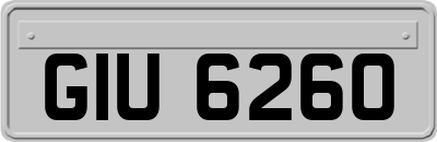GIU6260