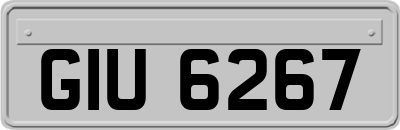 GIU6267