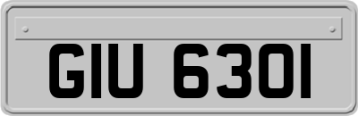 GIU6301