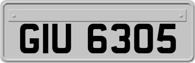 GIU6305