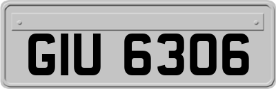 GIU6306