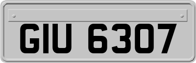 GIU6307