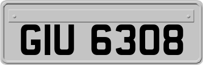GIU6308