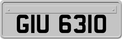 GIU6310