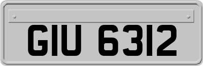 GIU6312