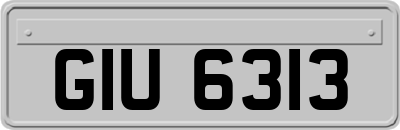 GIU6313