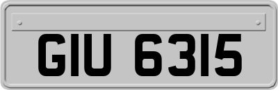 GIU6315