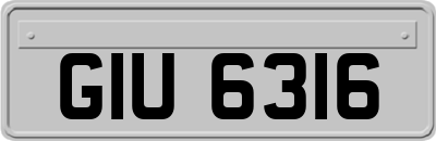 GIU6316