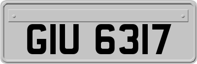 GIU6317