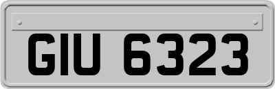 GIU6323