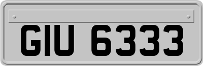 GIU6333