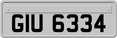 GIU6334