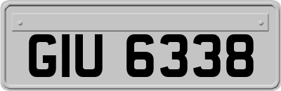 GIU6338