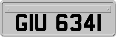 GIU6341