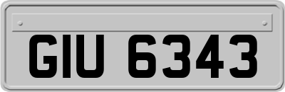 GIU6343