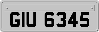 GIU6345