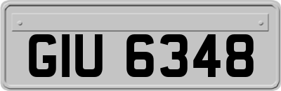 GIU6348