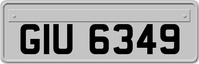 GIU6349