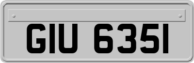 GIU6351