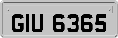 GIU6365