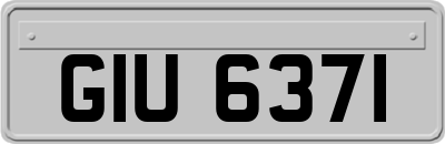 GIU6371