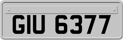 GIU6377