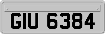 GIU6384