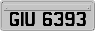 GIU6393