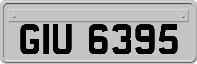 GIU6395