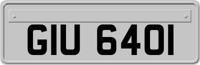 GIU6401
