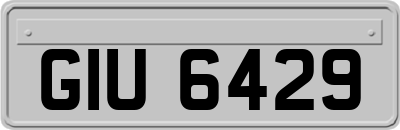 GIU6429