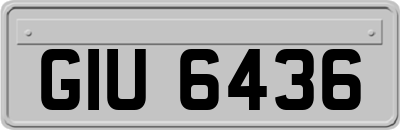 GIU6436
