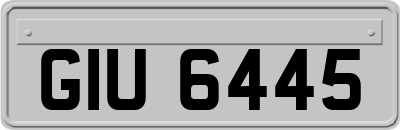GIU6445
