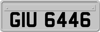 GIU6446