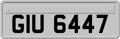 GIU6447