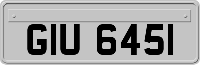 GIU6451