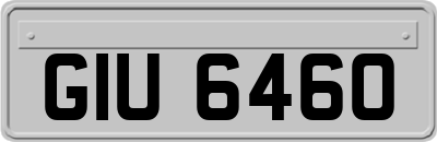 GIU6460