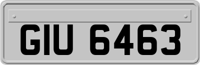 GIU6463