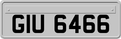 GIU6466