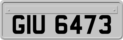 GIU6473