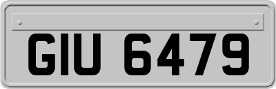 GIU6479