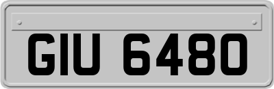 GIU6480