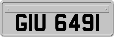 GIU6491