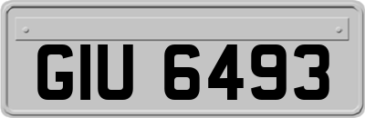 GIU6493