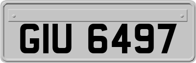 GIU6497