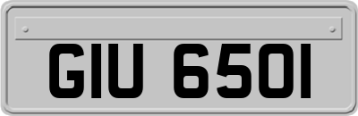 GIU6501