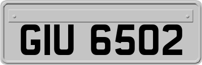 GIU6502